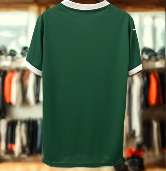 Camisa Palmeiras 2025/26 | A Glória Vestida de Verde!